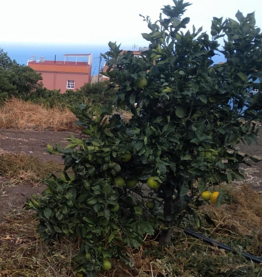 Vv Casa Conchi